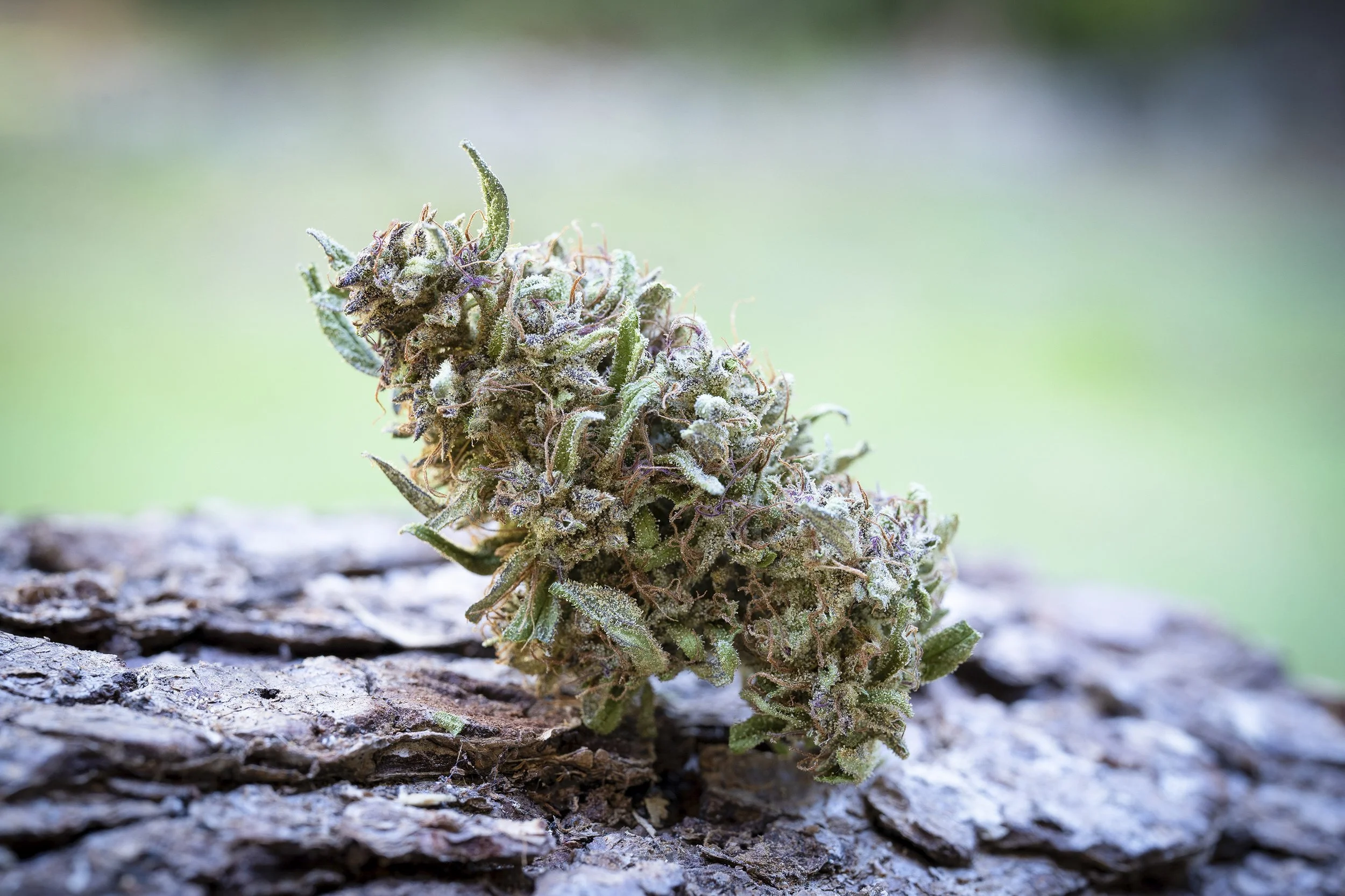 Products — Farm Cut